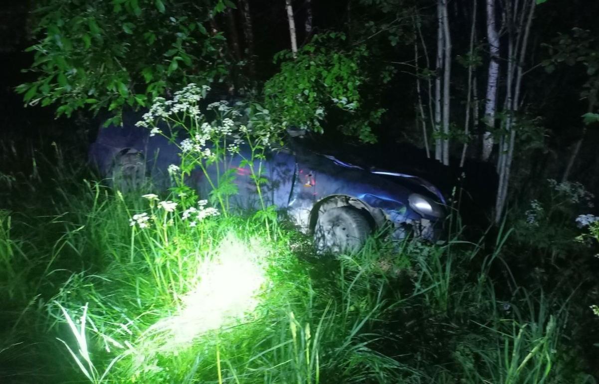 Ночью в Тверской области автомобиль сбил лося - новости Афанасий
