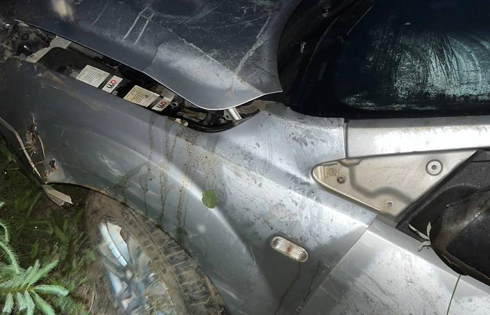 Женщина пострадала в перевернувшемся в Тверской области Ford - новости Афанасий