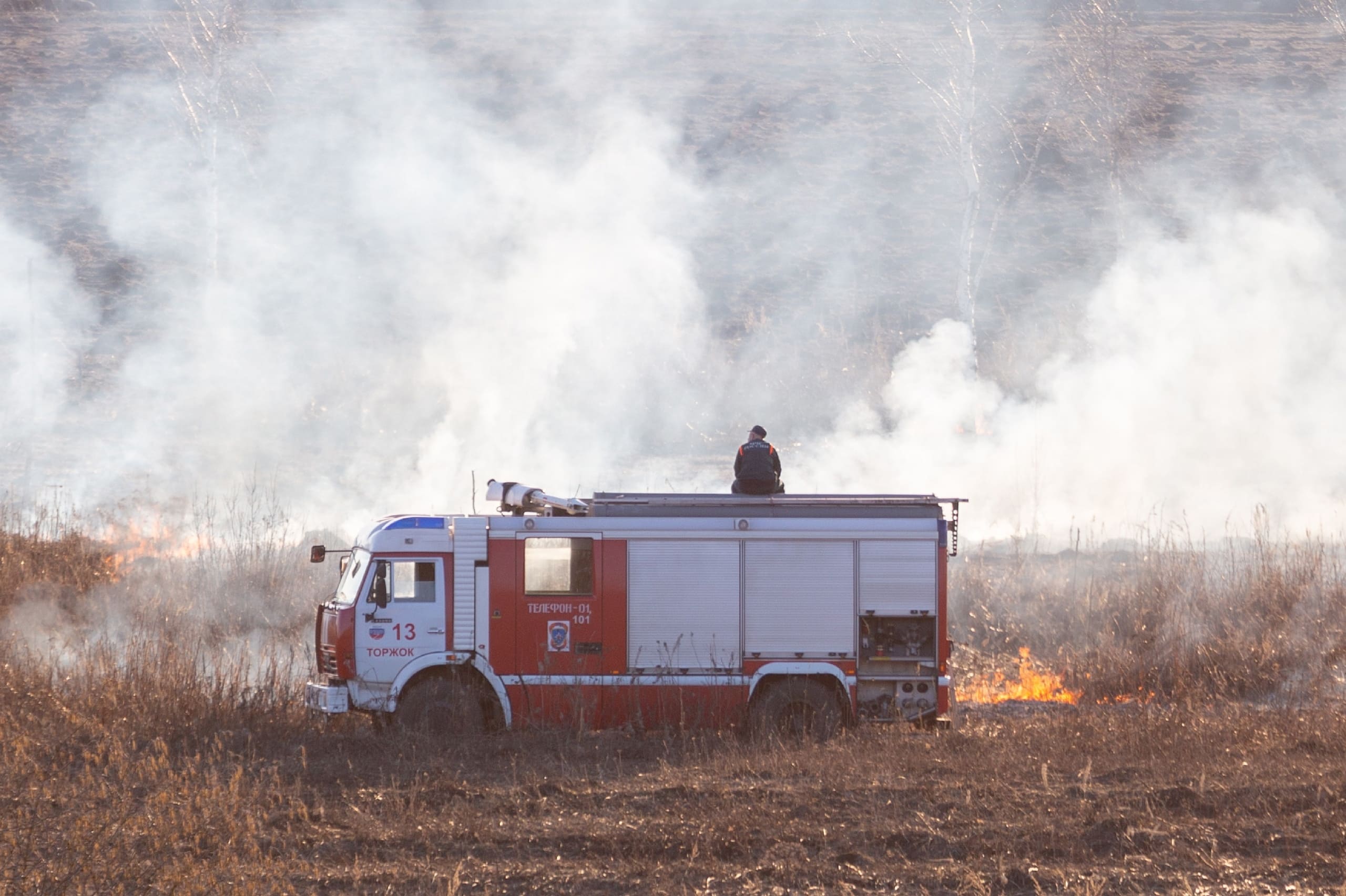 В Тверской области начала гореть трава