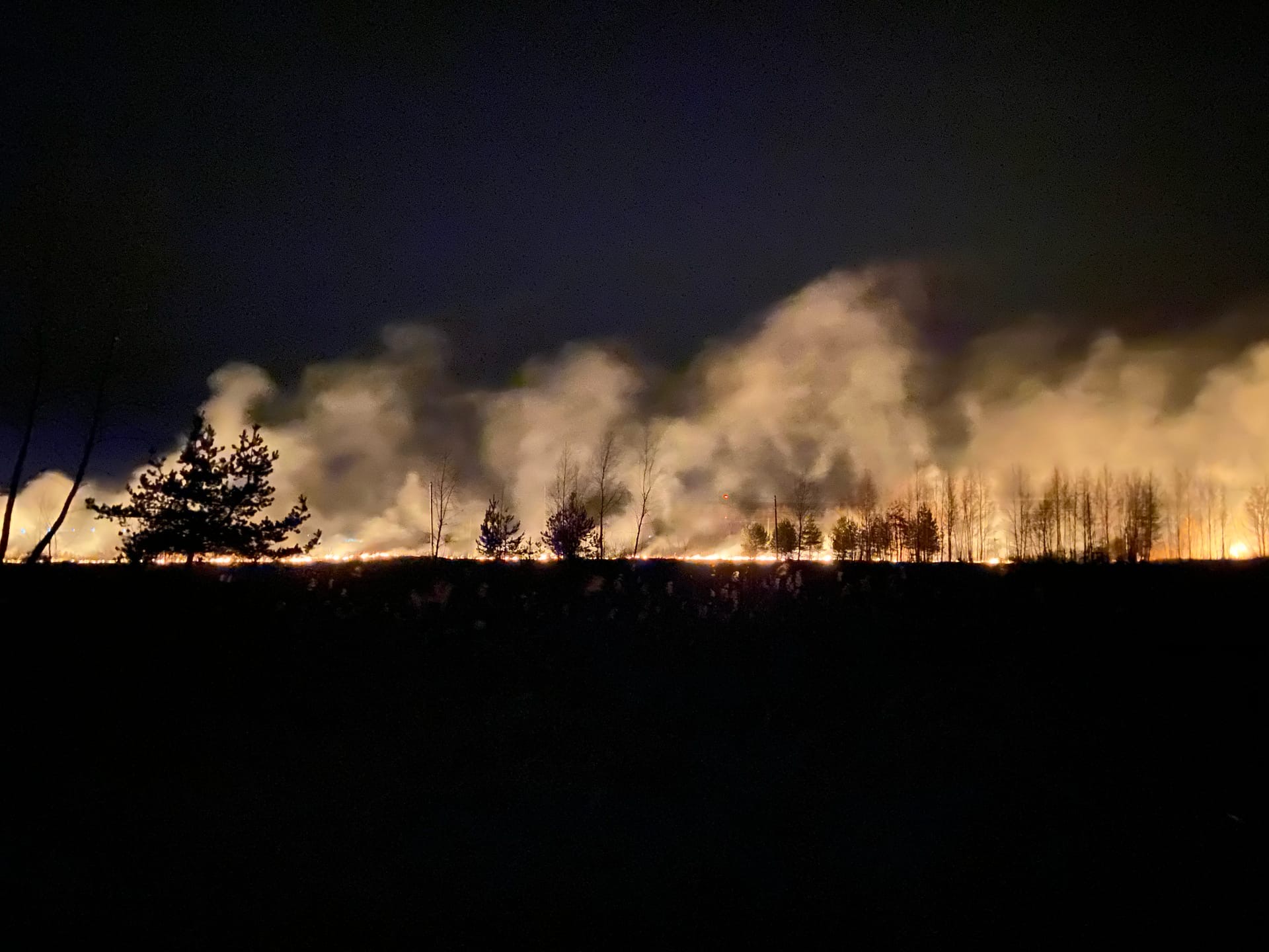 «Желтый уровень» опасности в Тверской области объявлен из-за риска природных пожаров