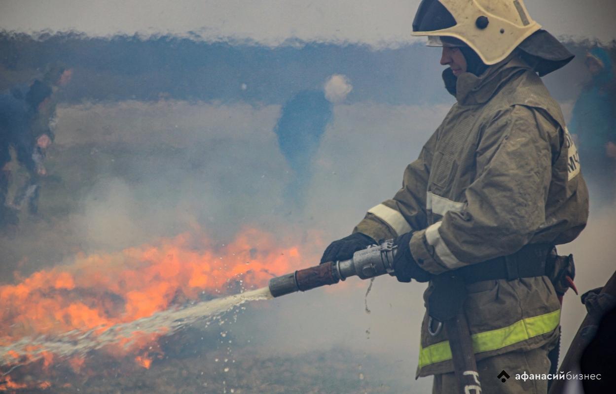 Несколько часов пожарные боролись с огнем в лесу под Тверью - новости Афанасий