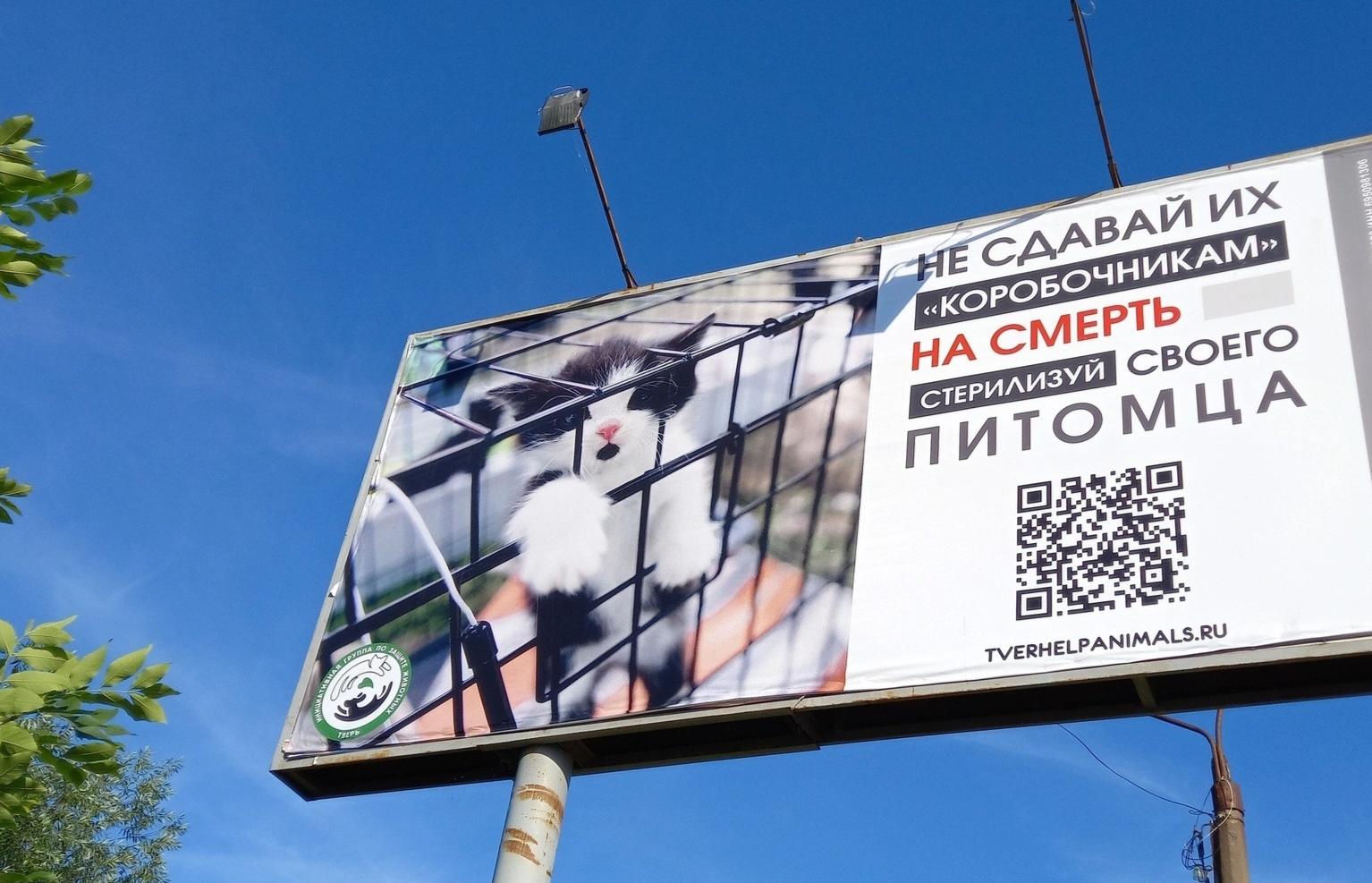 В Тверской области зоозащитники борются против коробочников-убийц - новости Афанасий