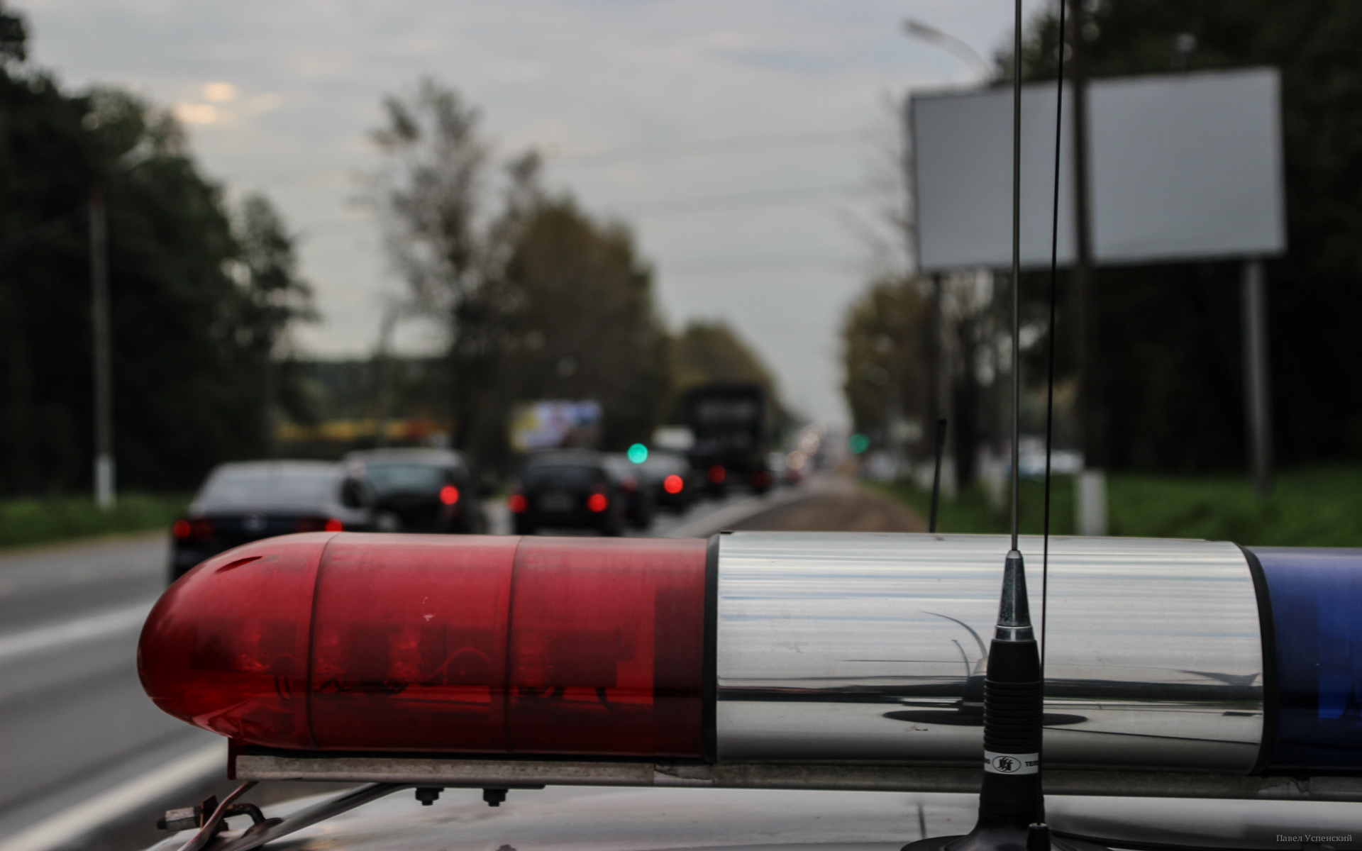 В Тверской области ведут розыск водителя, сбившего двух пешеходов