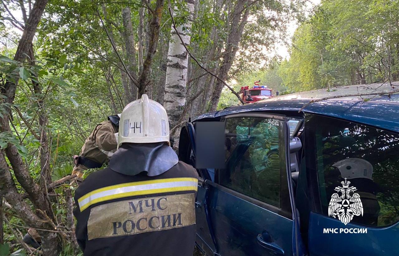 В Осташковском районе водителя зажало в машине после ДТП – Новости Твери и  городов Тверской области сегодня - Afanasy.biz – Тверские новости. Новости  Твери. Тверь новости. Новости. Новости сегодня. Новости Твери сегодня.