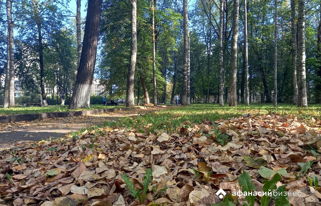 Погода в Твери сегодня: аномально теплая осень продолжается