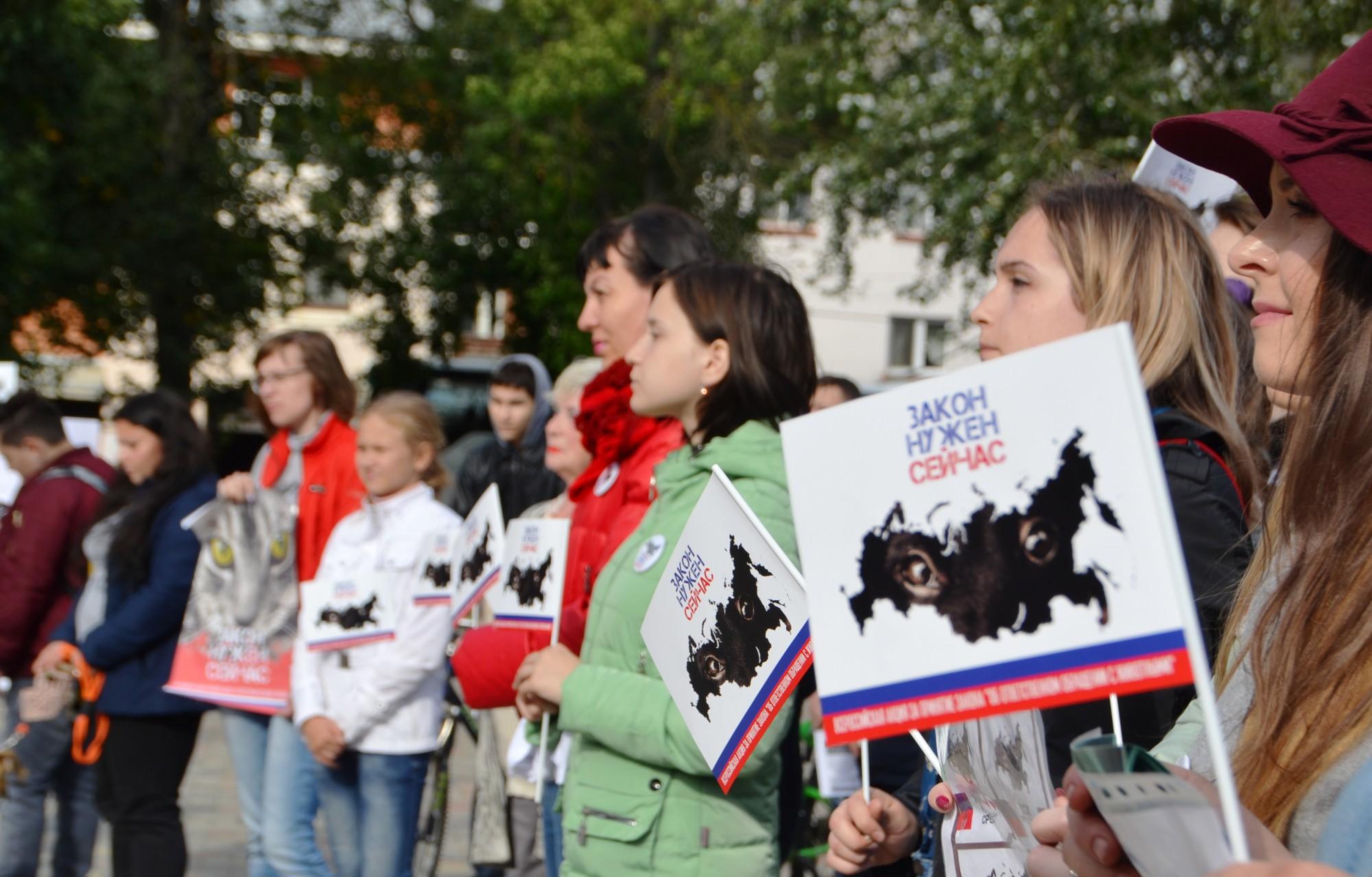 Зоозащитники из Тверской области стали участниками портала «Нужна помощь»