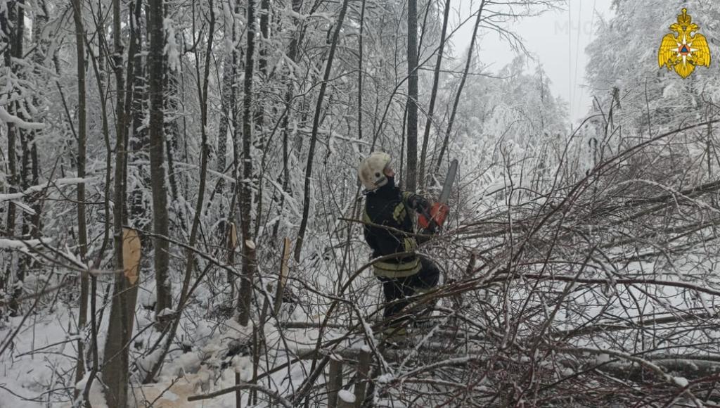 В Тверской области спасатели убирают деревья и ветви, упавшие на ЛЭП