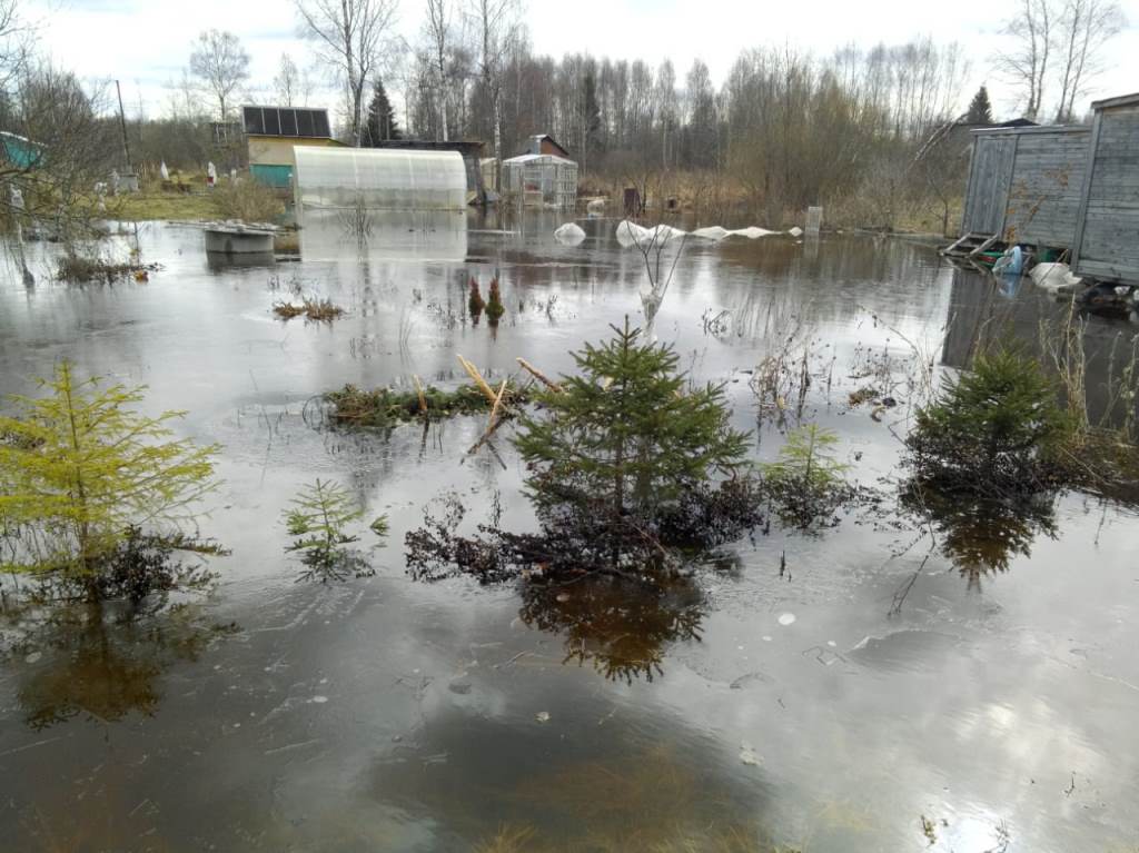 Больше 20 участков окажутся под водой в Тверской области 