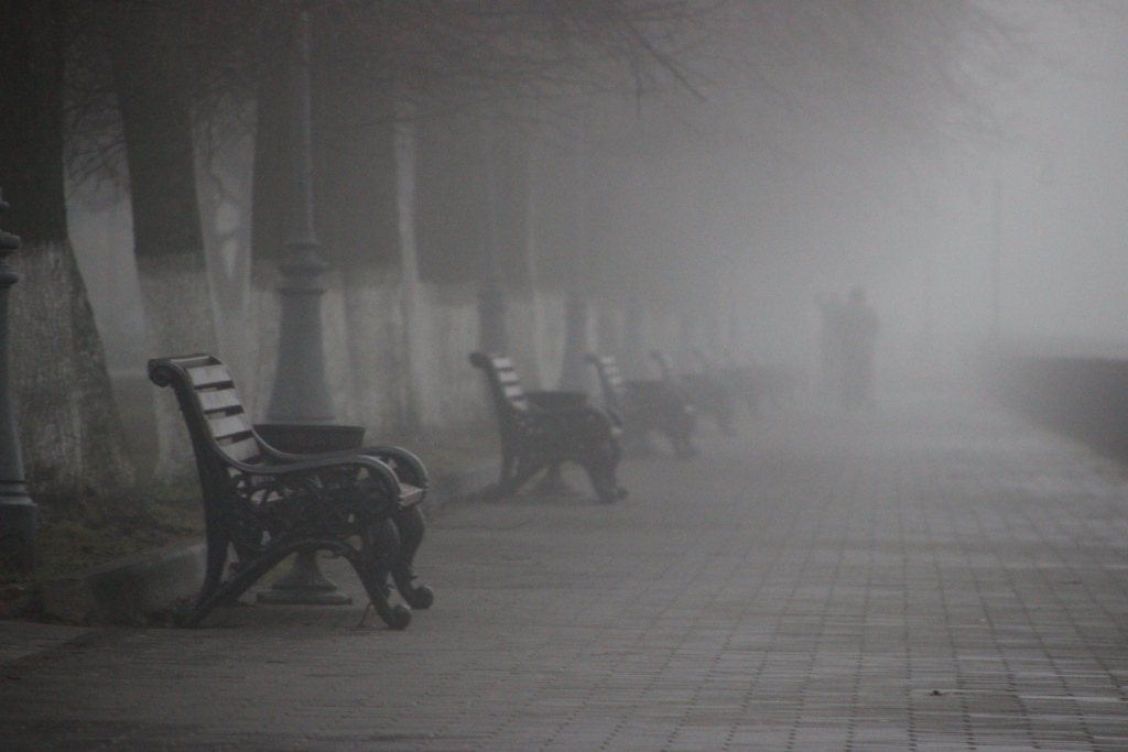 МЧС предупреждает о тумане в Тверской области