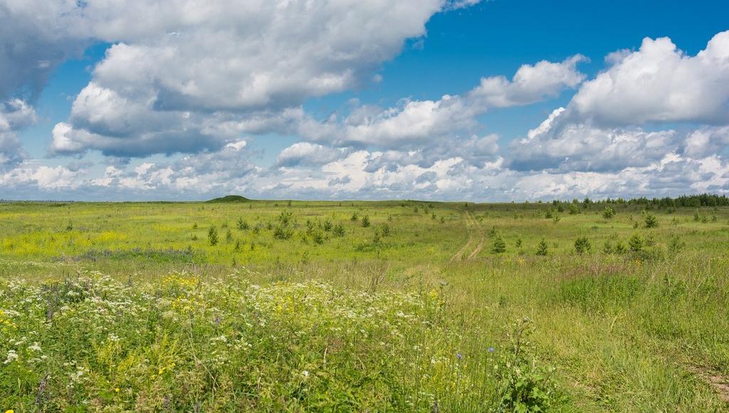 В Тверской области многодетные семьи получили земельные участки без коммуникаций