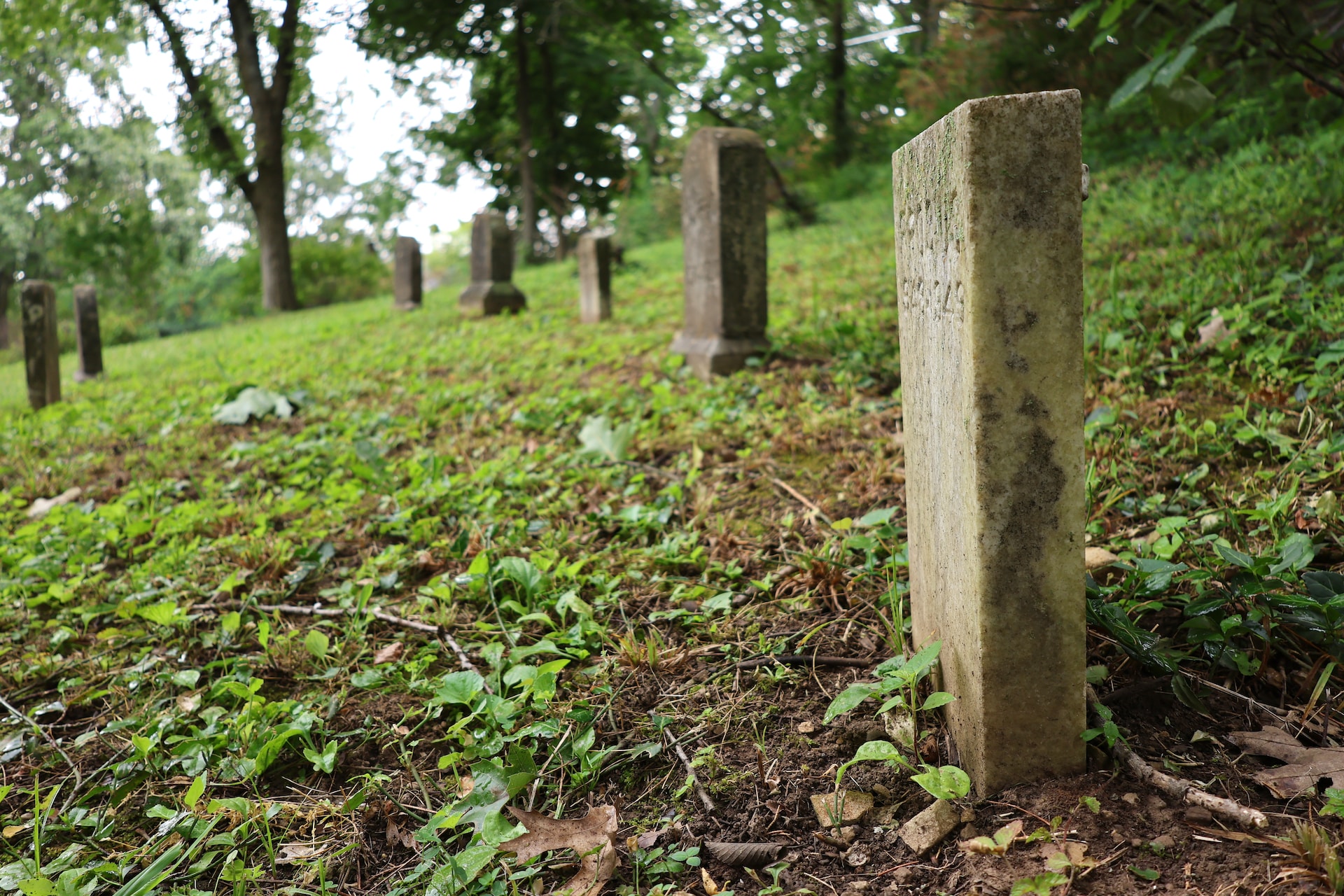 В Вышнем Волочке ритуальщики продавали бесплатные места на кладбище 