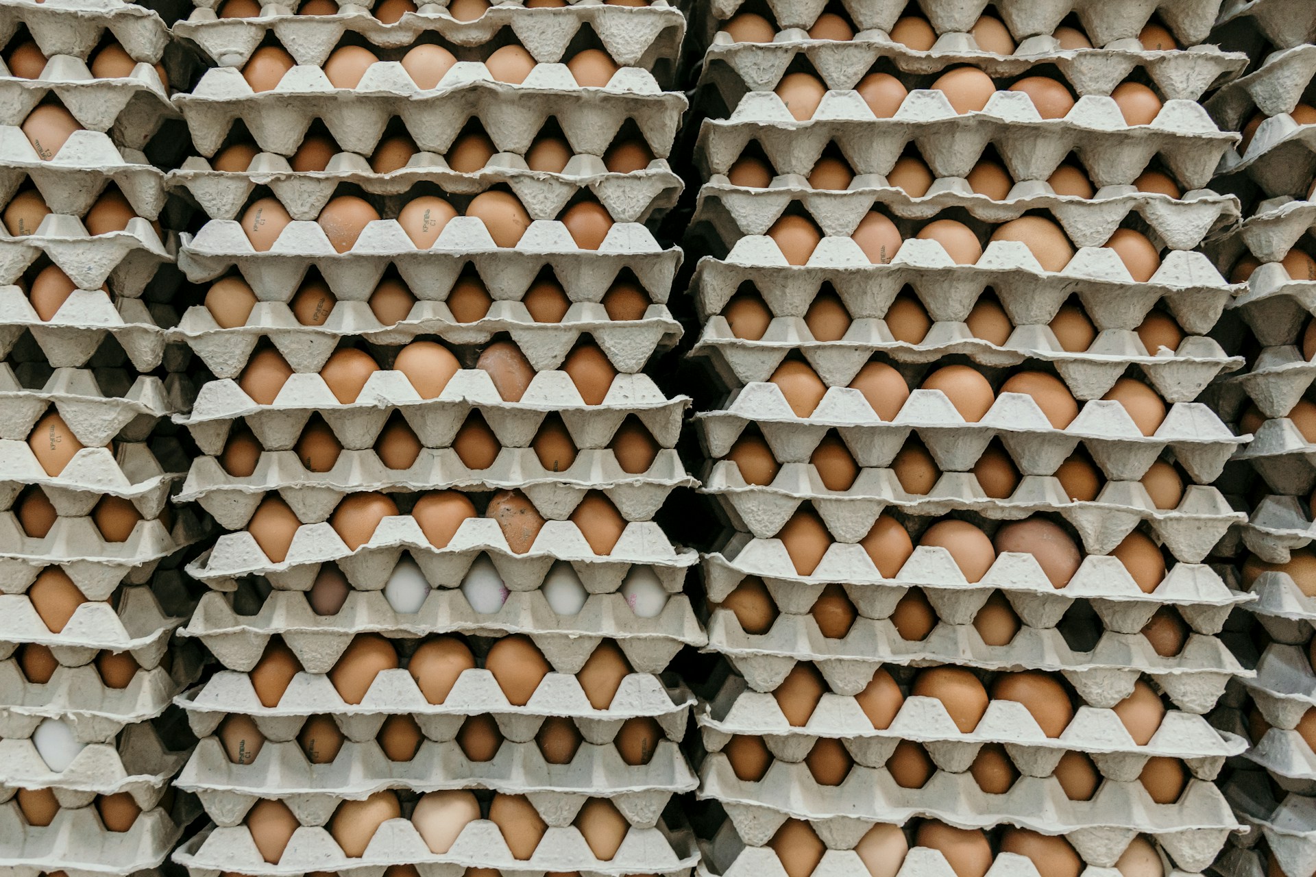 Яйца затормозили инфляцию в Тверской области