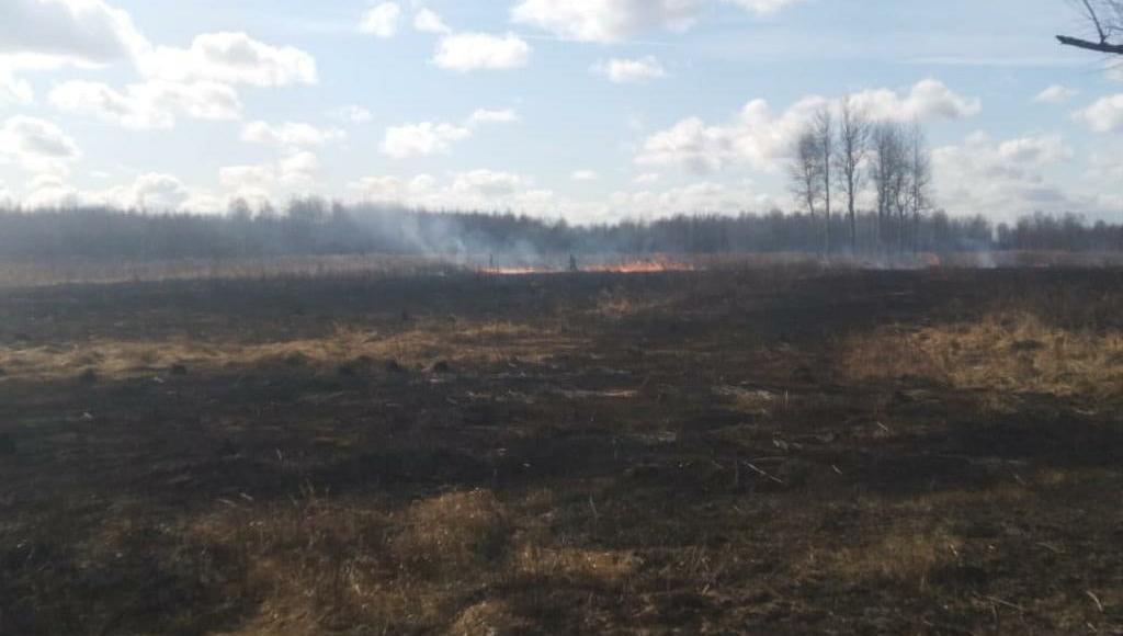 В Тверской области регистрируют первые случаи возгорания сухой травы этой весной