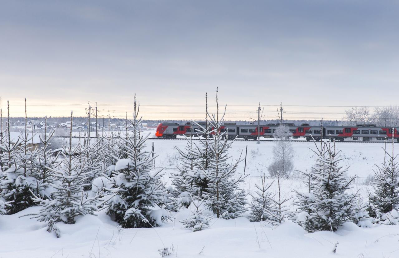 900 тысяч пассажиров в новогодние каникулы добирались домой пригородными поездами МТППК 