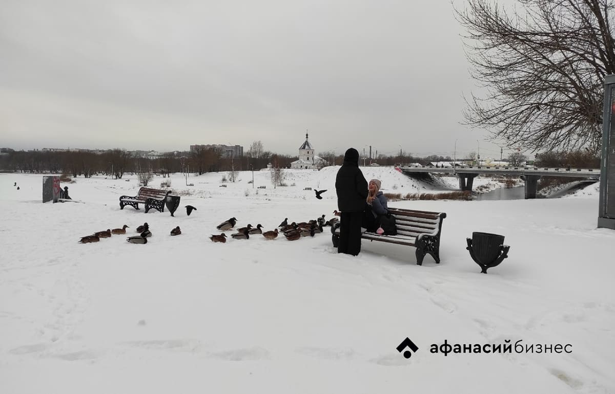 Прогноз погоды в Твери: сначала снегопады, потом морозы до -20, а потом опять снегопады