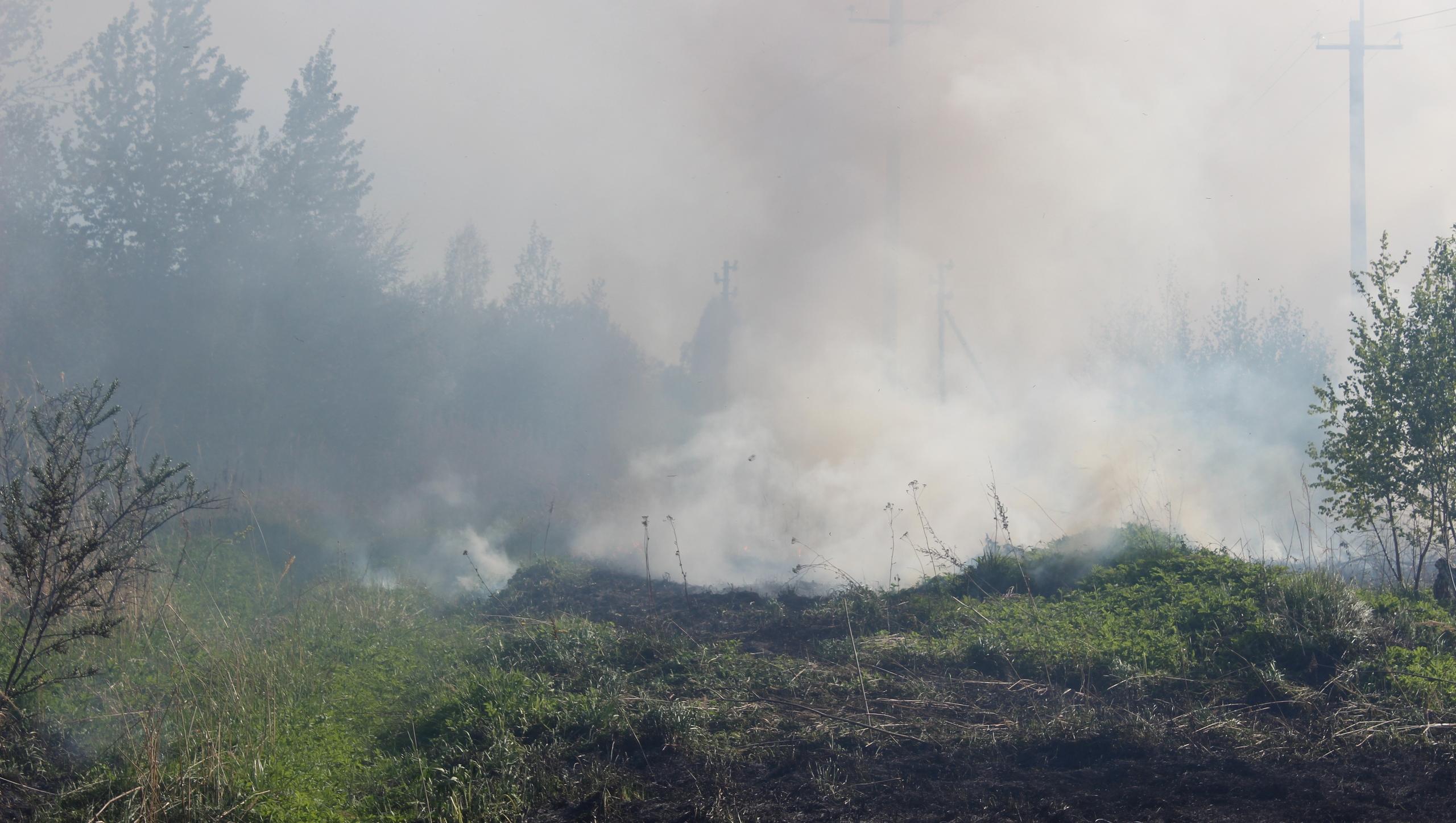 В Тверской области нашли виновников крупных лесных пожаров, произошедших этой весной