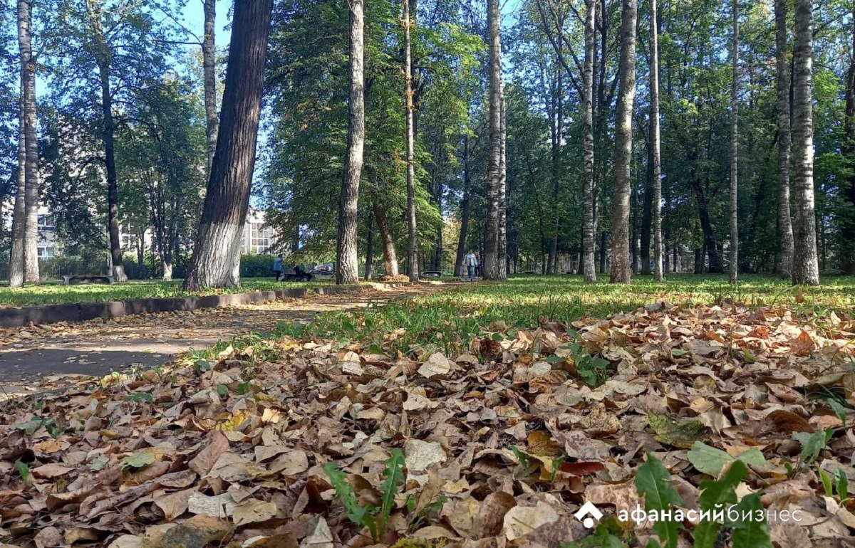 Тепло постепенно уходит из Тверской области