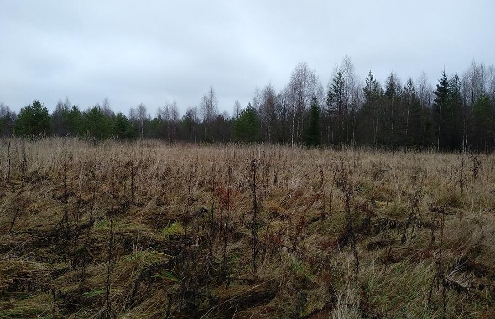 Землевладельца наказали предупреждением вместо штрафа в Тверской области