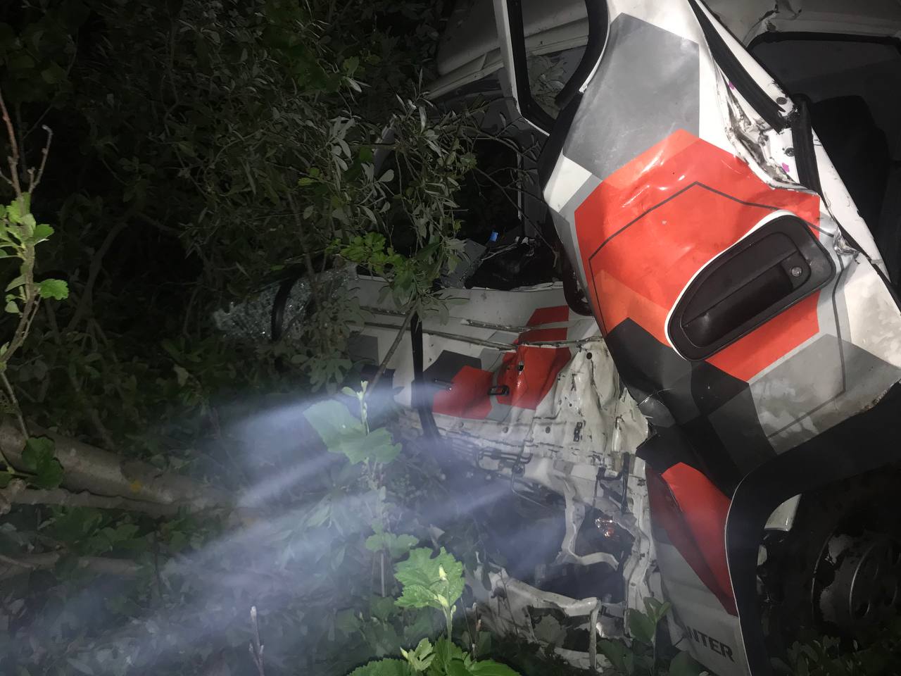 На М10 в Тверской области водитель грузовика получил травмы в столкновении с лосем