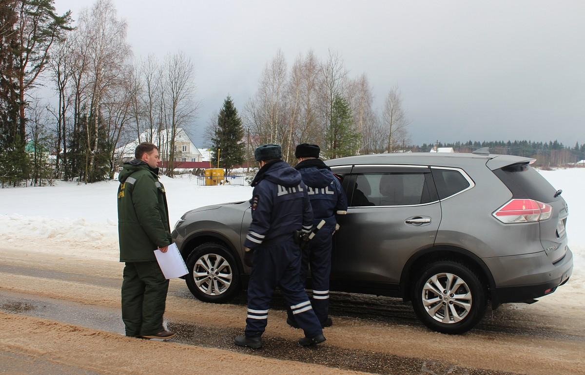 В Тверской области для охраны лесов от новогодних лесорубов проводят мероприятие «Елочка» Фото: минлес.тверскаяобласть.рф