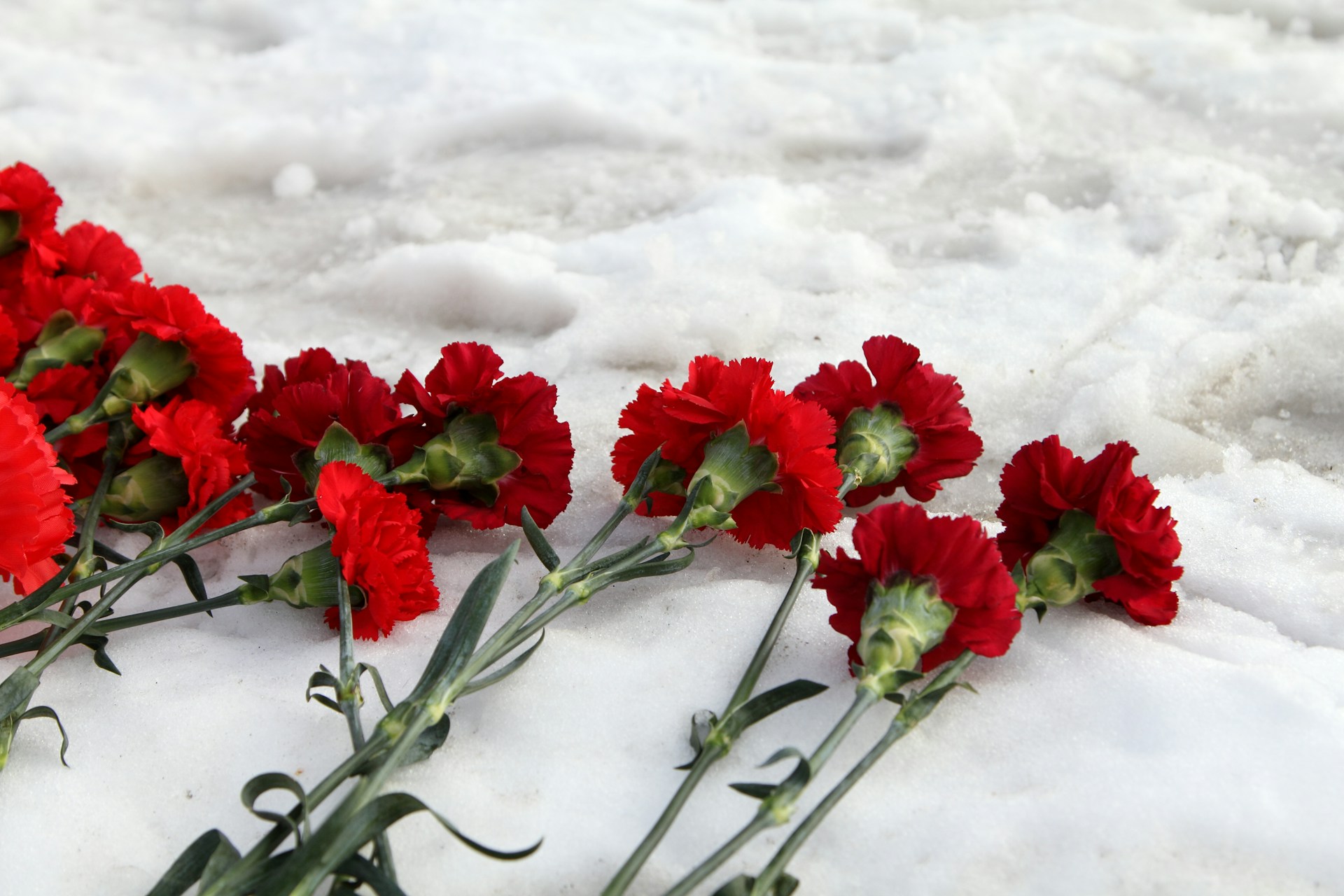 В Конаковском районе похоронят погибшего участника СВО 