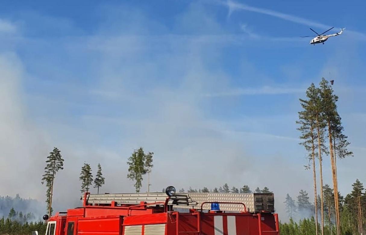 В Тверской области обнаружен очаг лесного пожара