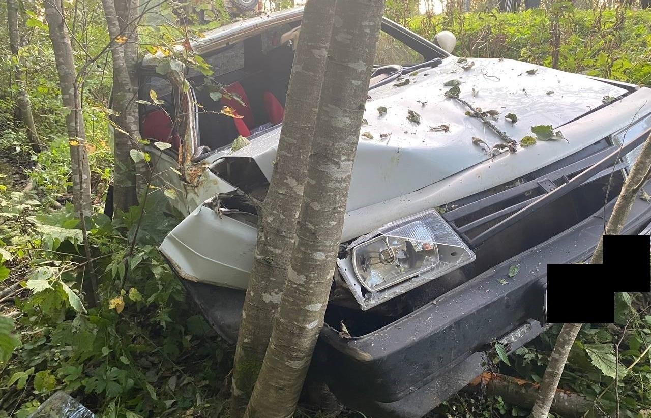 В Оленинском районе ВАЗ попал в аварию из-за лося