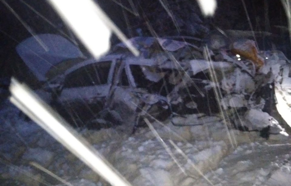 На М9 в ДТП на встречке погибла женщина и пострадал ребенок - новости Афанасий