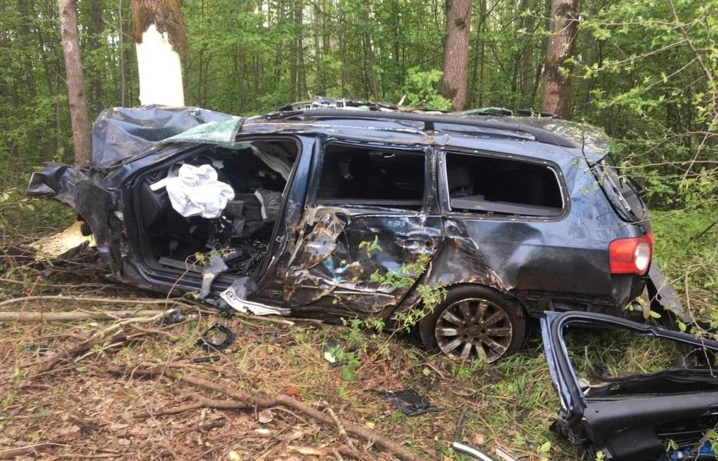 В Тверской области дерево остановило вылетевший с дороги Volkswagen — водитель чудом выжил