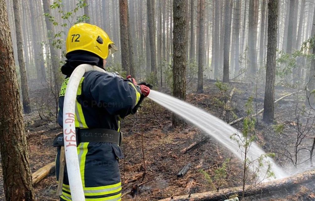 Лесной пожар на площади 0,12 га тушили под Тверью