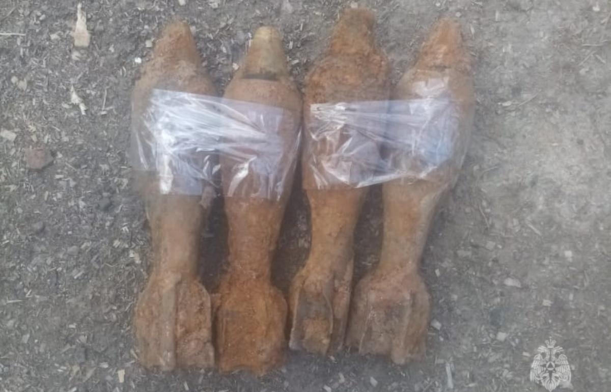 В Западной Двине нашли четыре мины