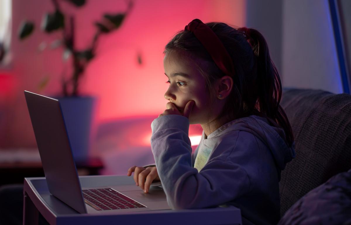 В России хотят ужесточить правила пользования Интернетом для детей