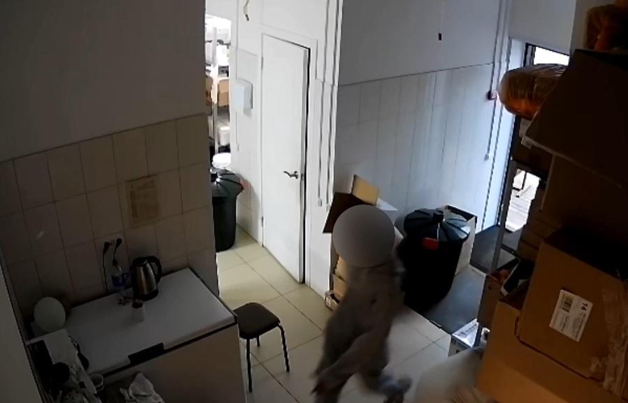 Запись с камеры видеонаблюдения помогла полиции Тверской области найти воришку телефонов