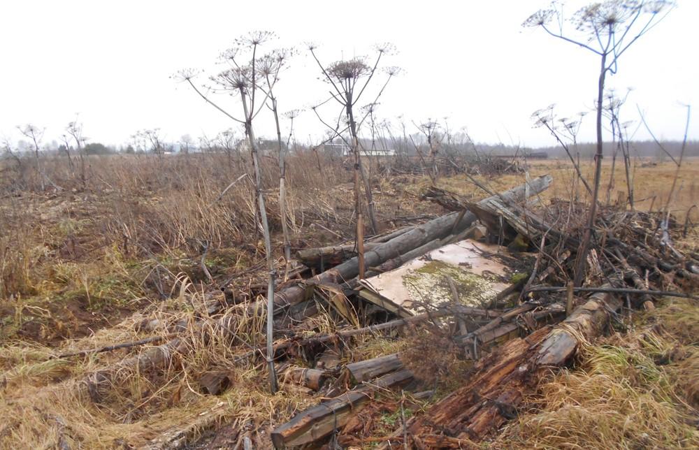 Нелегальные свалки заняли более 25 гектаров в Тверской области