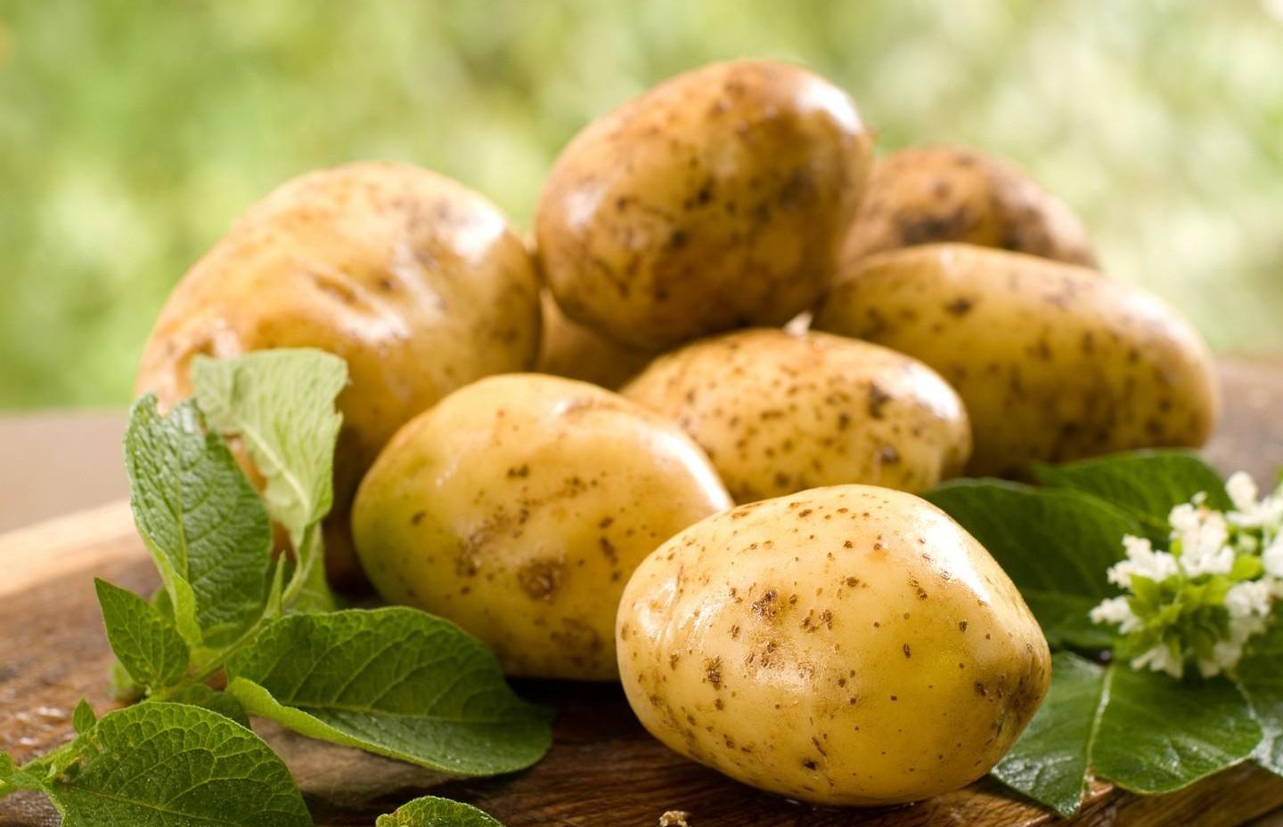 Тверская область: вывозили картофель, ввозили семена 