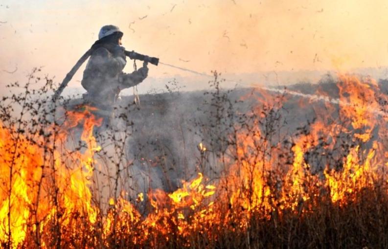 В Тверской области более 92% природных пожаров ликвидировалось в день обнаружения - новости Афанасий