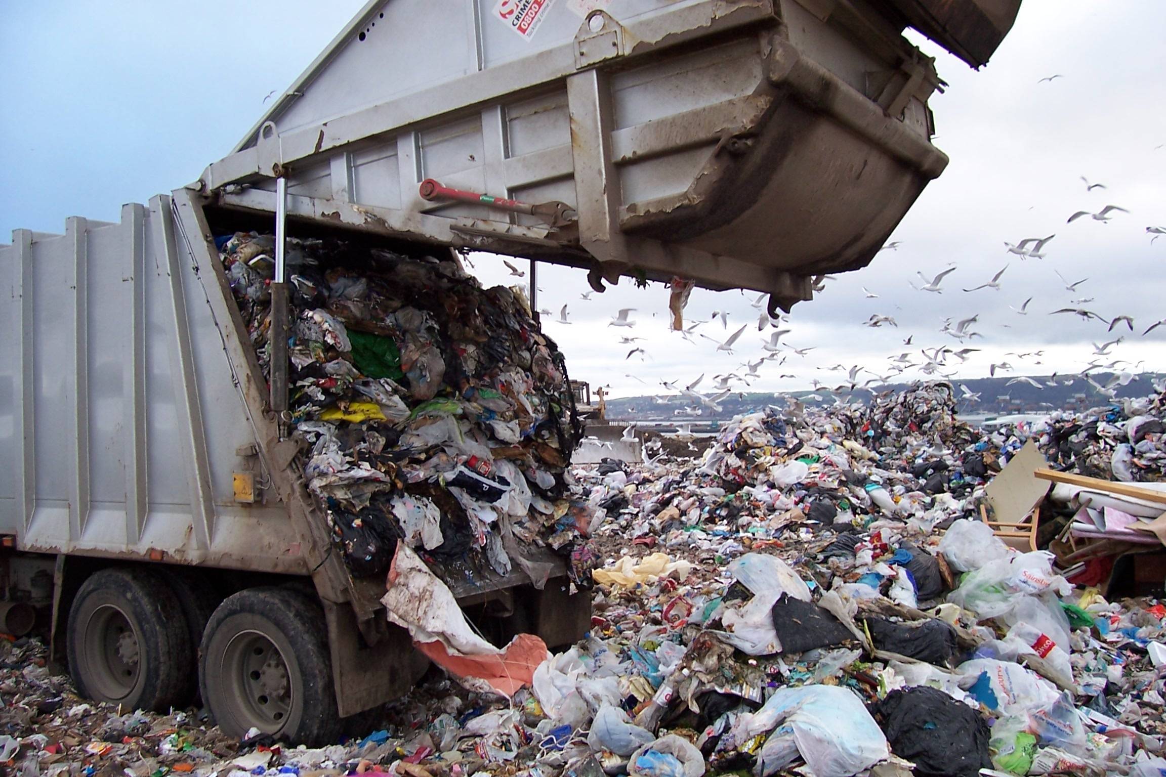 В каких регионах выбрасывают больше мусора, рассказали СМИ