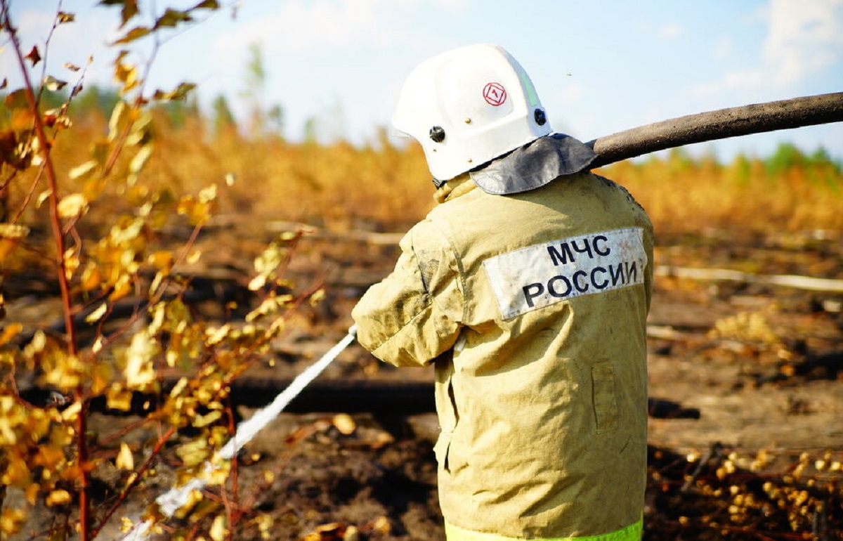 Количество лесных пожаров в Тверской области снизилось в три раза