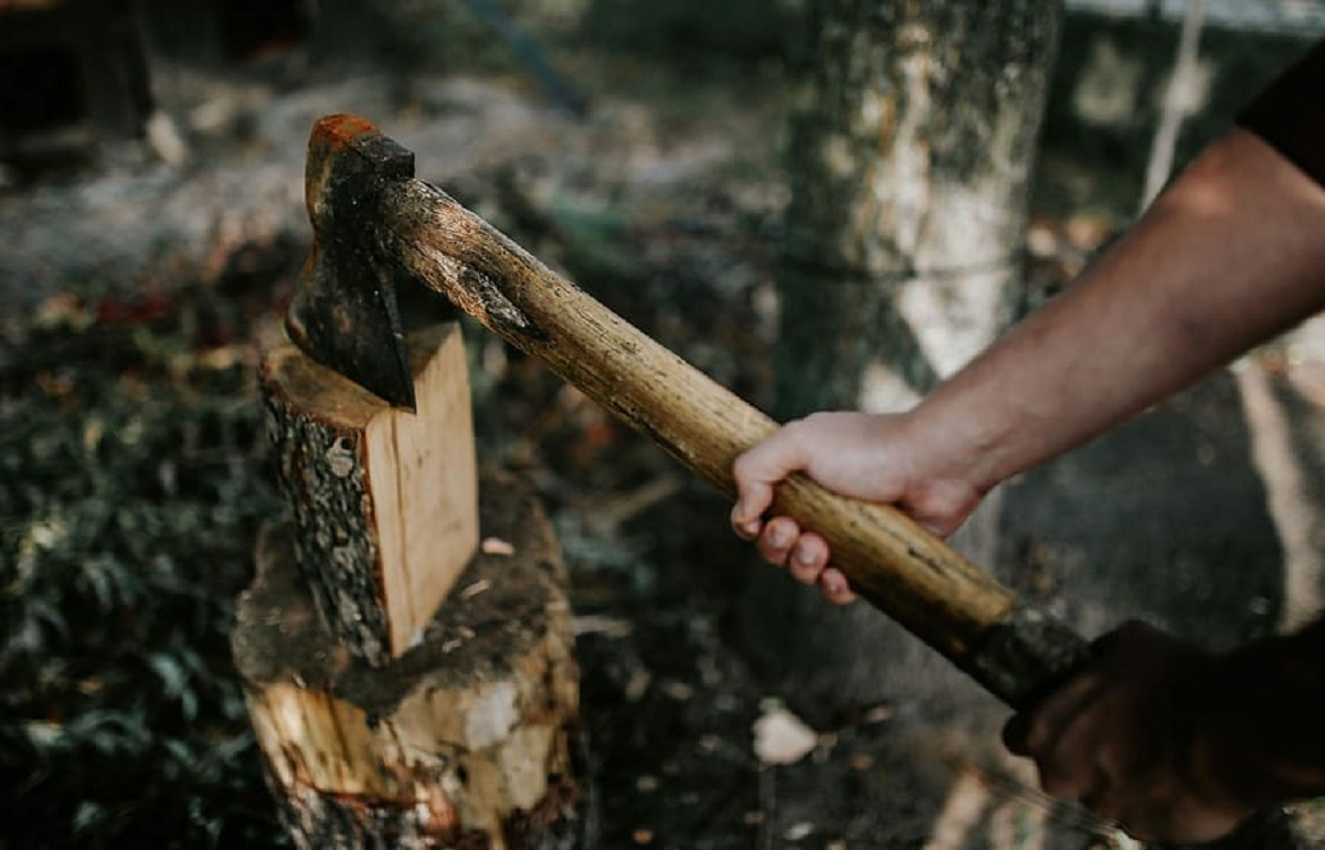 «Черные лесорубы» из Красного Холма нарубили дров на уголовный срок
