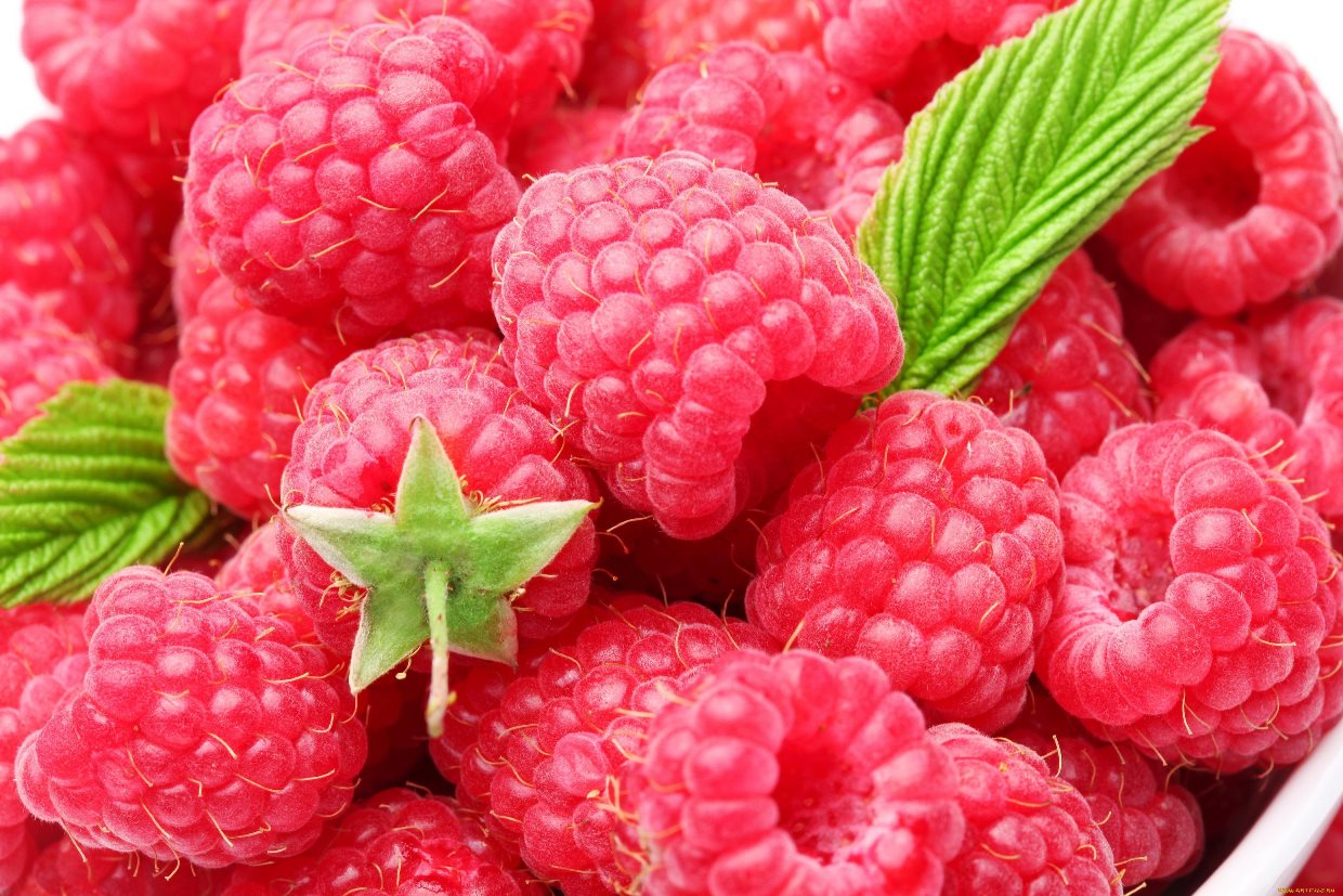 Тверская область: ввозили ягоды из Беларуси, лекарственное сырье из Египта