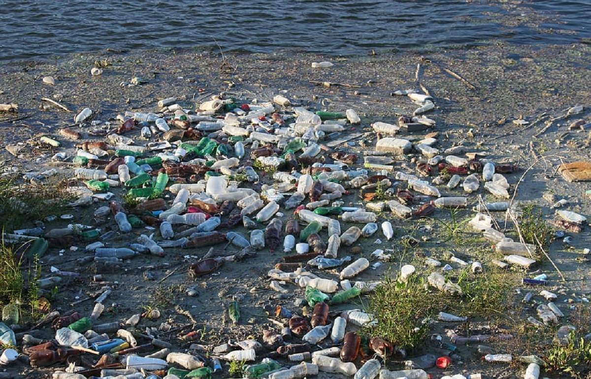 На территории лесничества в Селижаровском районе устроили свалку пластиковых бутылок и стекла
