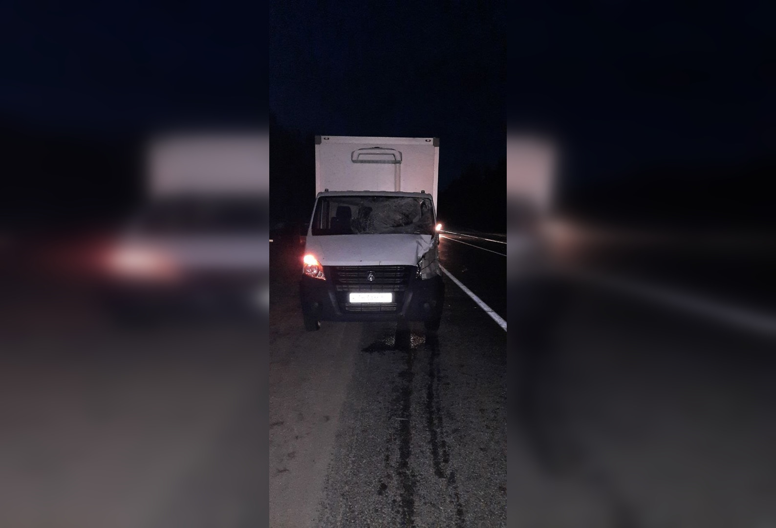 Водителя доставили в больницу после столкновения с лосем в Тверской области 