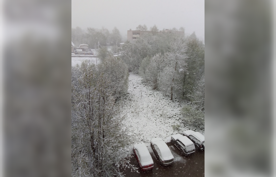 В Тверской области выпал снег 