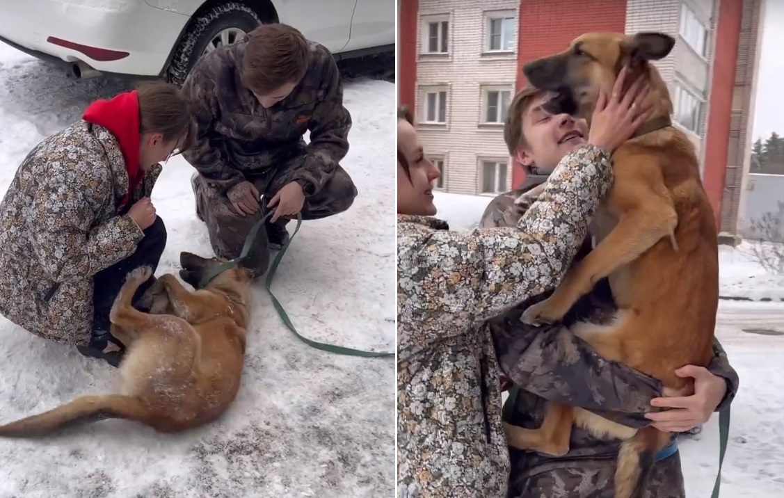 Предновогоднее чудо: потерянную во Ржеве собаку спустя два года ребята из Брянска нашли в Твери