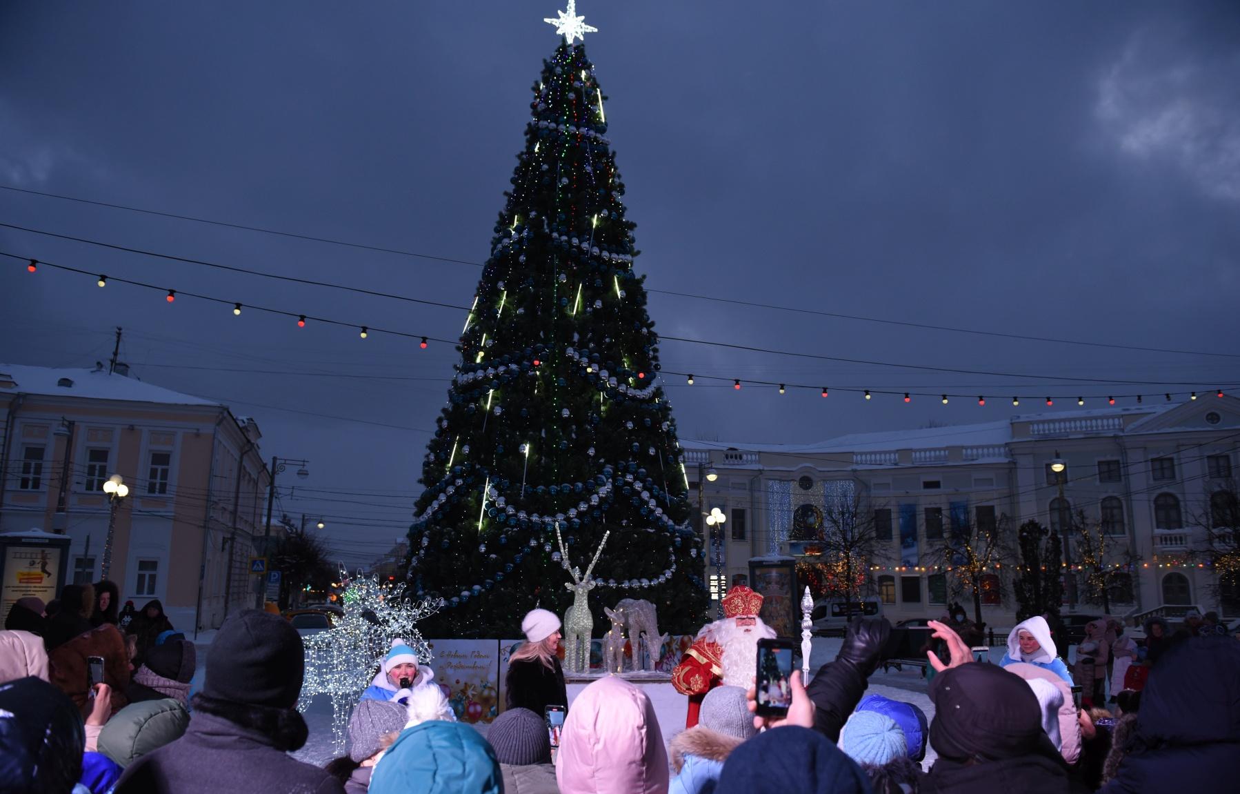 В Жарковском на главной площади установят живую ель