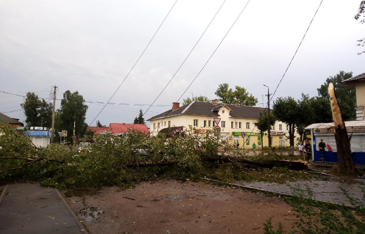 В Ржеве Тверской области рухнувший из-за грозы тополь оборвал провода