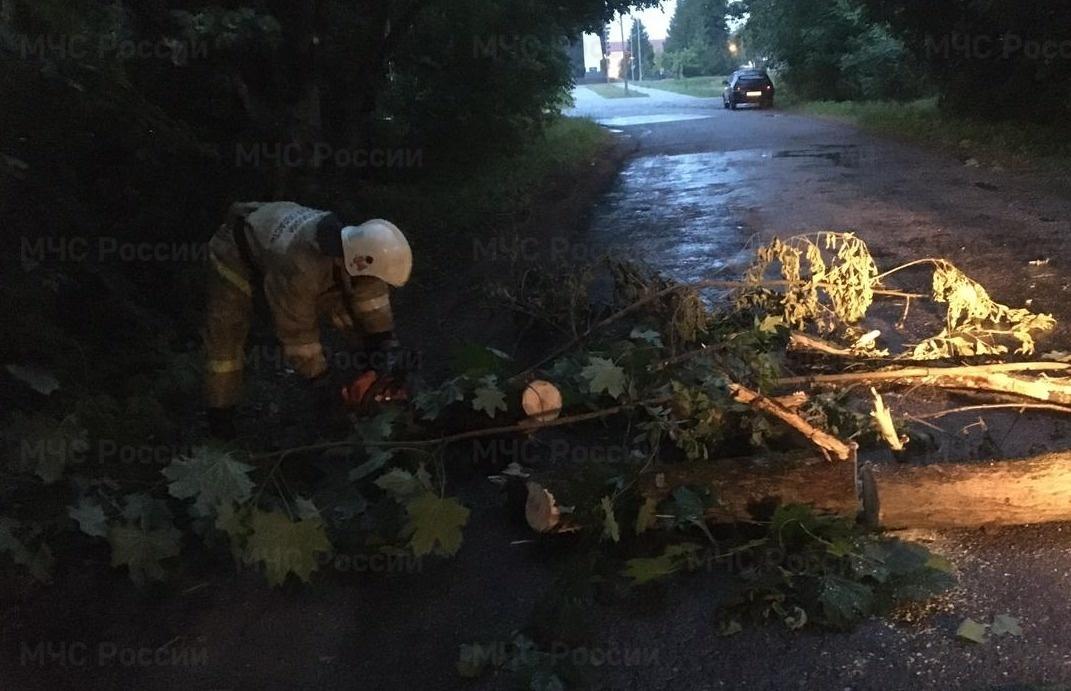 В Тверской области ветер валил деревья и рвал провода 