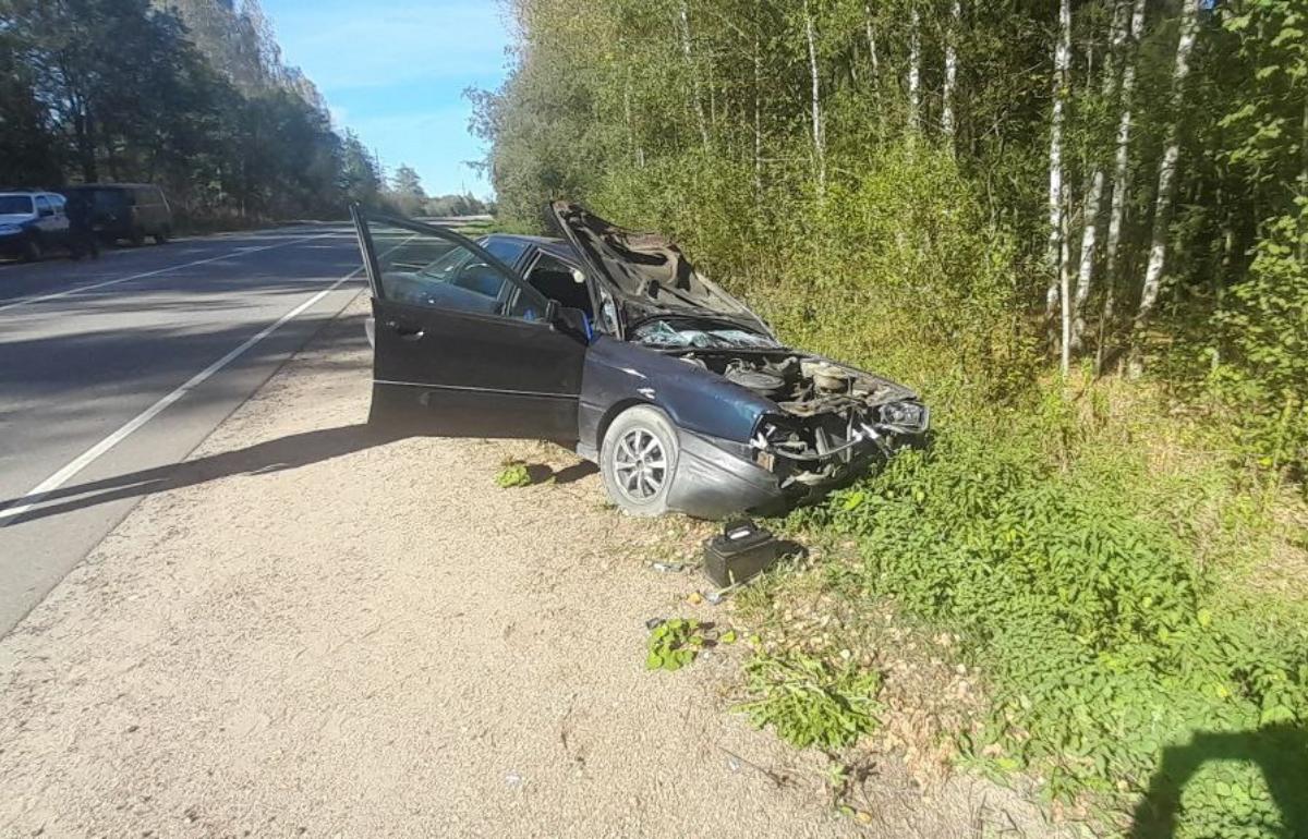 В Селижаровском районе автомобилист погиб при столкновении с лосем