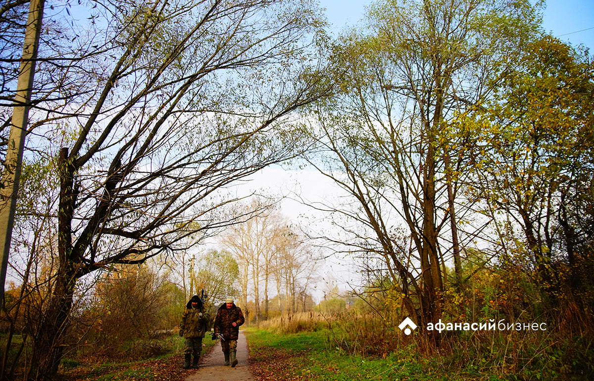 Погода в Твери: золотая осень продолжается