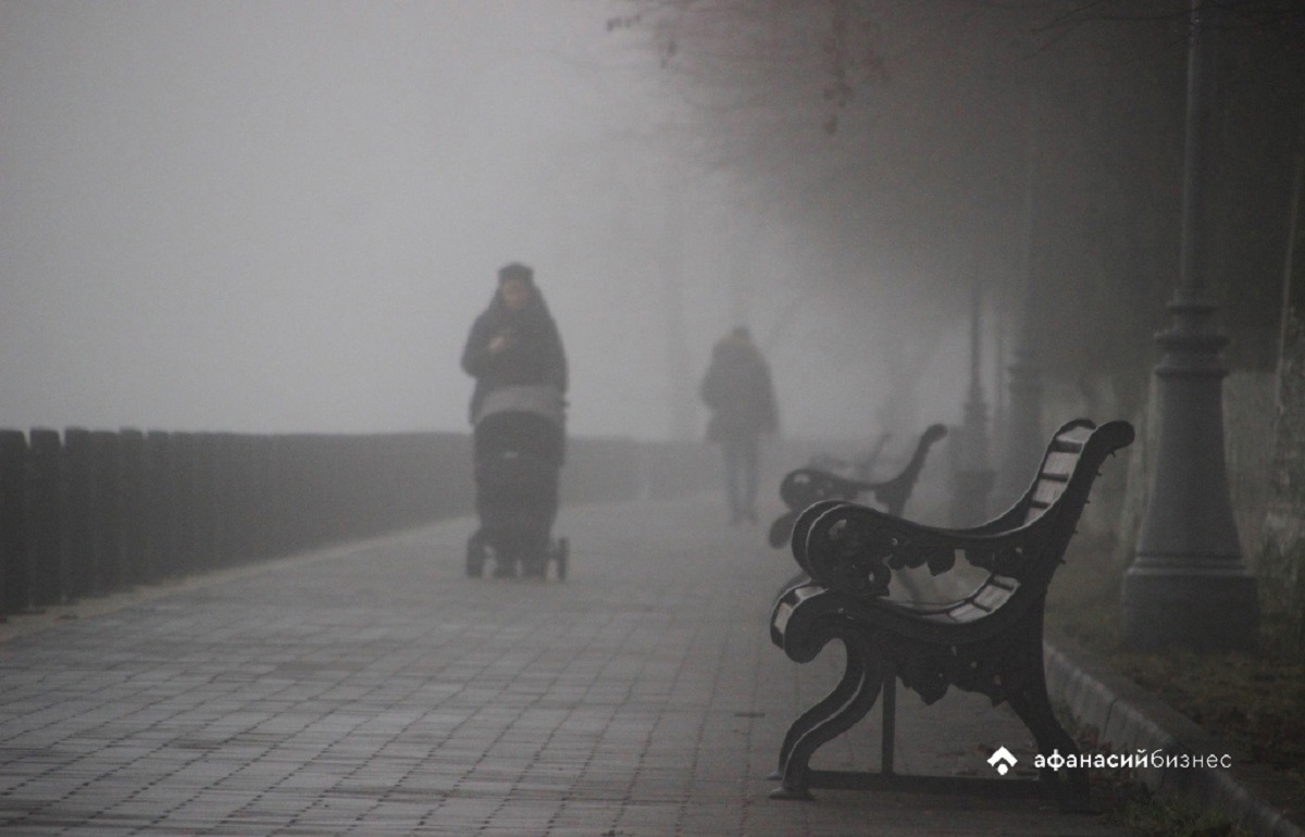 Жителей Тверской области предупреждают о густом тумане в утренние часы